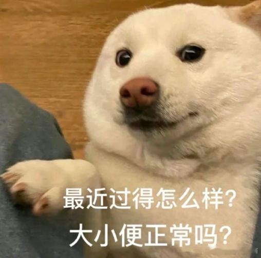 #今天追了什么剧# ​​​