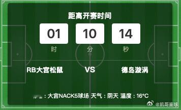 松鼠本赛季升J1无望？冠军：004 日职乙亚军：季军：负殿军：0-1  0-2 