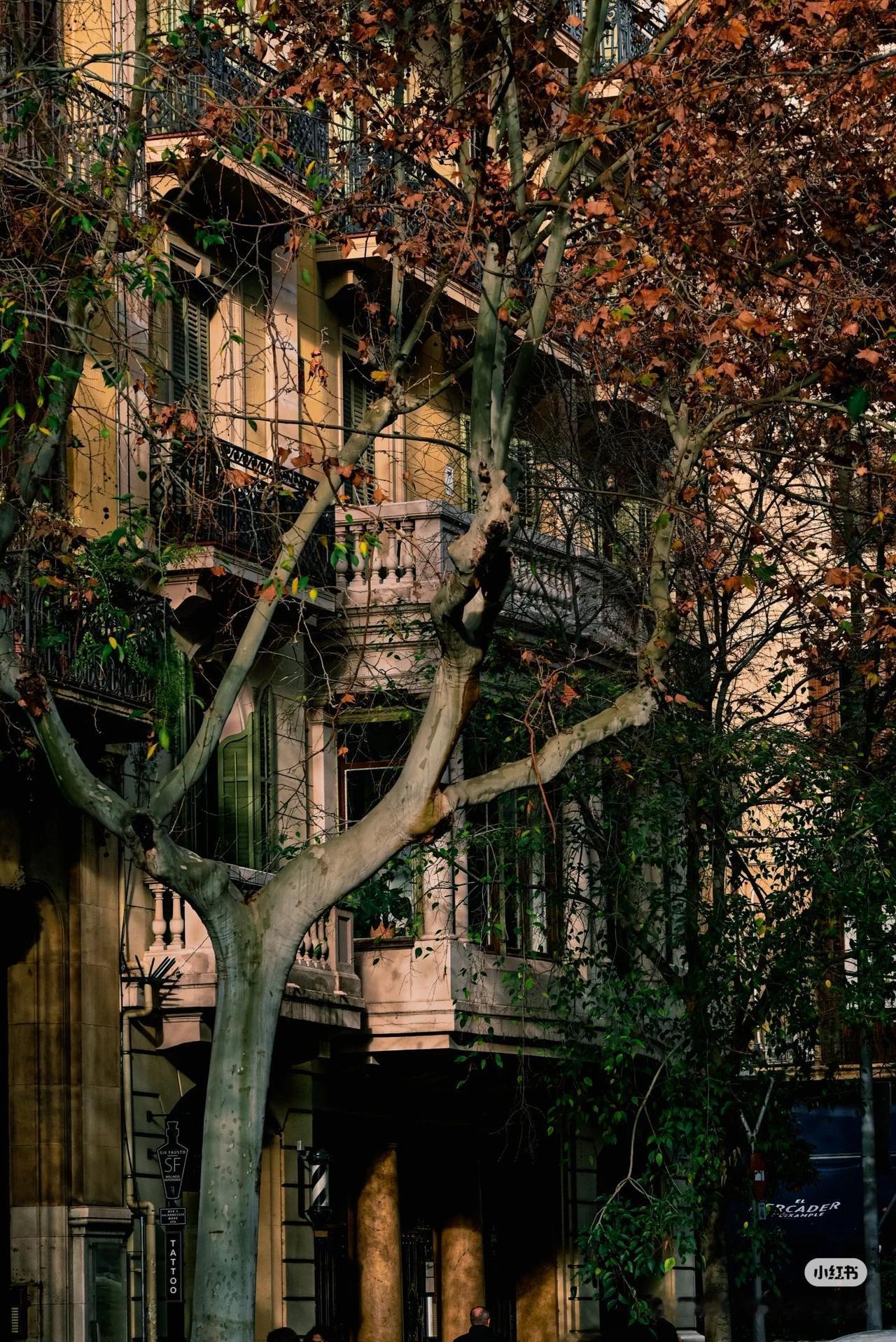 唯美壁纸谁不喜欢