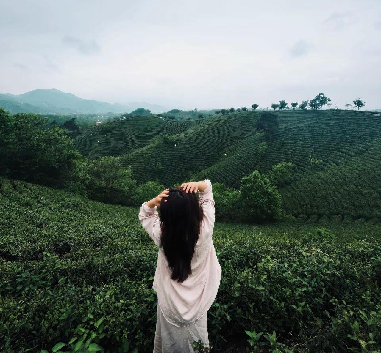 心无杂念 一切随便