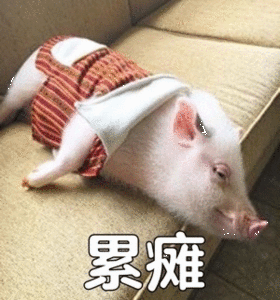 最近这几天太累了，今天先摆烂了。 