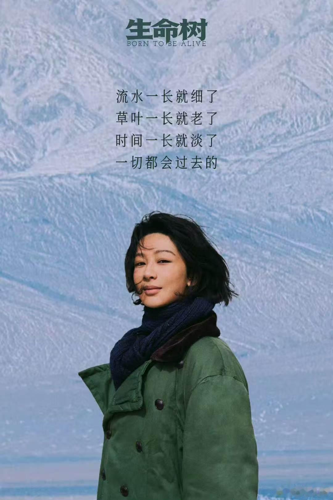 杨紫生命树云合回到前十杨紫生命树云合持续上升杨紫生命树云合持续上升 好爽的吧！！