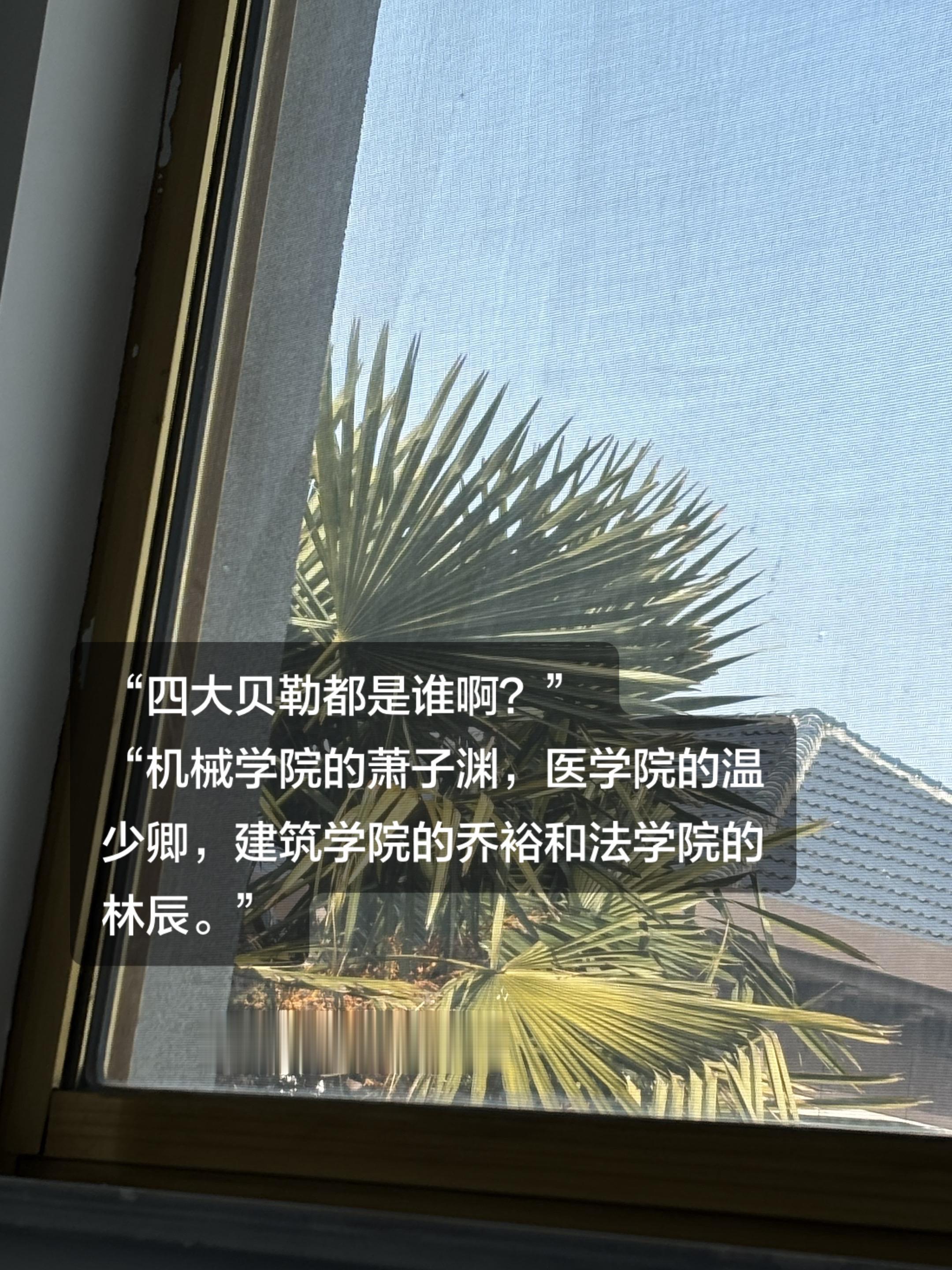 真实生活分享计划 东奔西顾