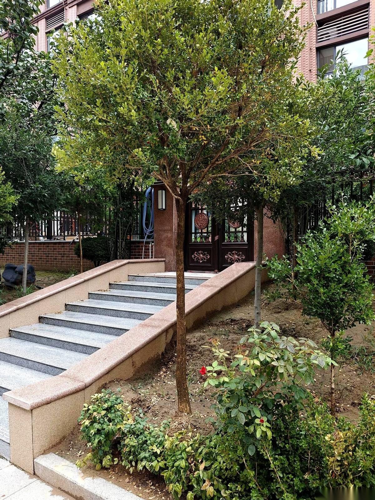 北大清华的儿子，一线城市的房，当了一辈子校长，职称早就评到顶了。
然后呢？
人没