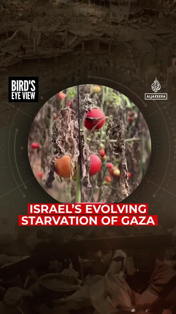 观看：以色列对加沙地带的持续围困 停火后，巴勒斯坦人剩下的土地大多不适宜耕种，而