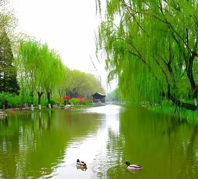 多读书的人，终会脱胎换骨
 
常听人说要多读书，走过半生才懂：读书，是一个人最低