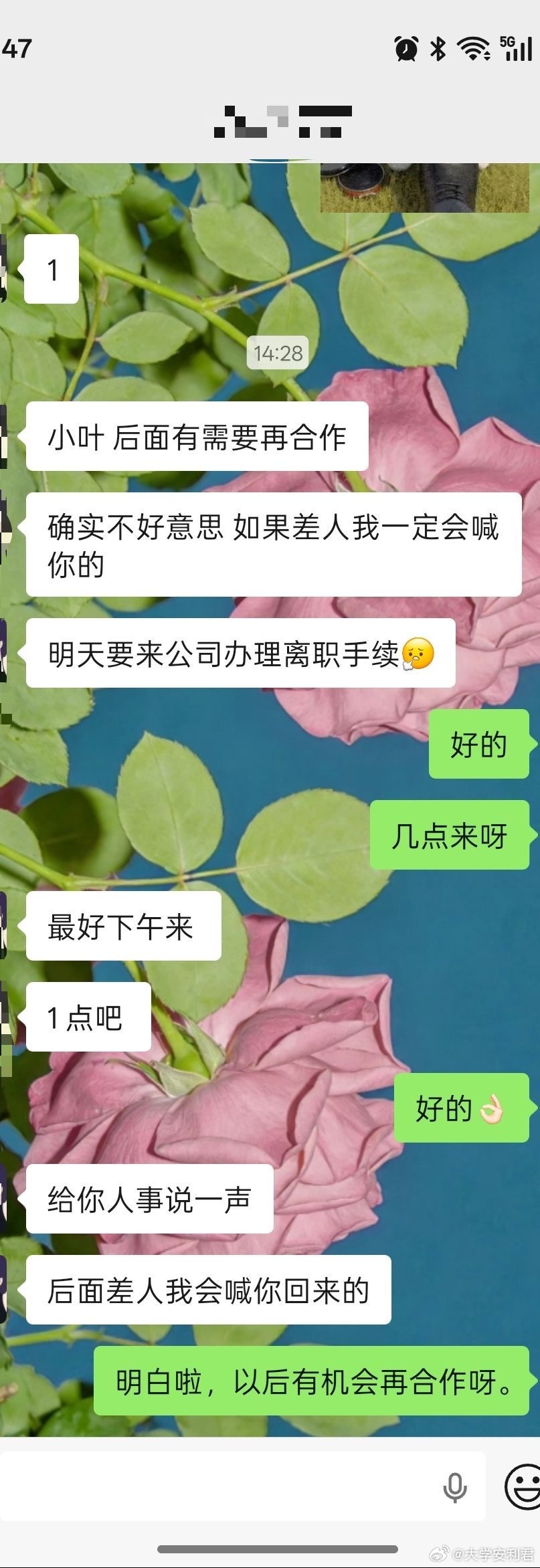 休了一天假把工作休没了 