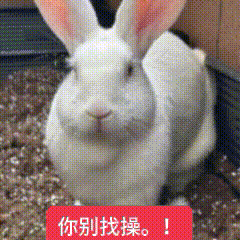 博主的小红苕1万fo了。 