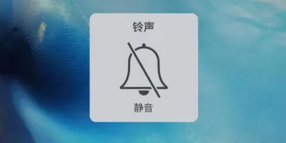 女子在网上哭诉。自己睡觉时把手机调成了静音，晚上母亲突发疾病送到医院抢救，可她的