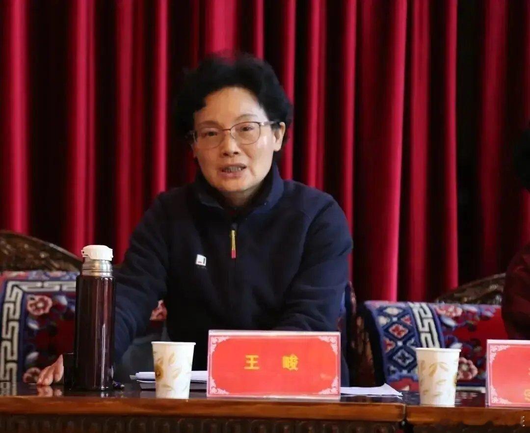 【西藏自治区人大常委会原党组副书记、副主任王峻被开除党籍和公职】据中央纪委国家监
