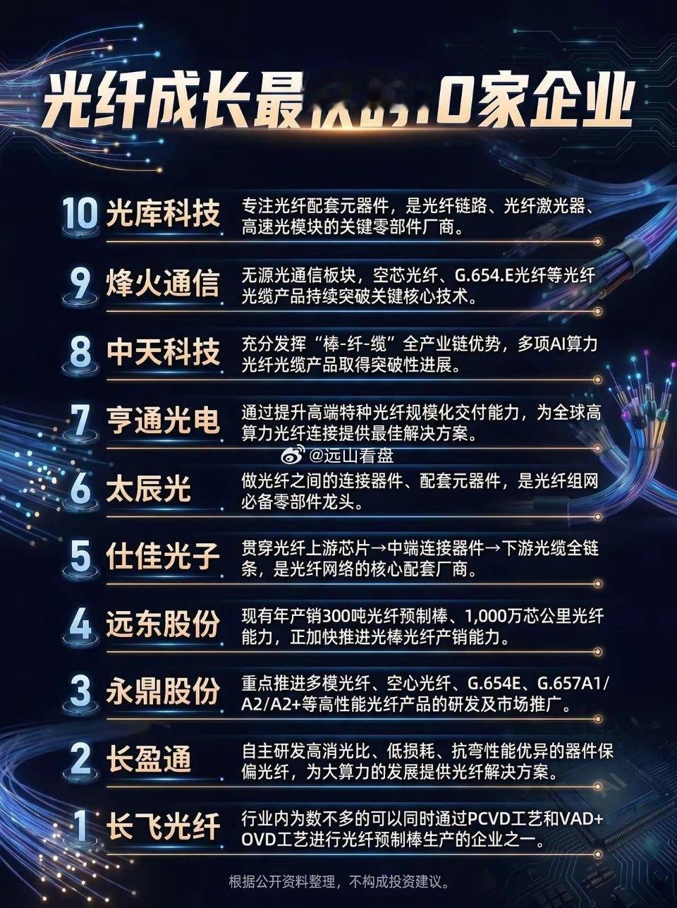 光纤，成长最快的10家企业。光纤 成长能力 