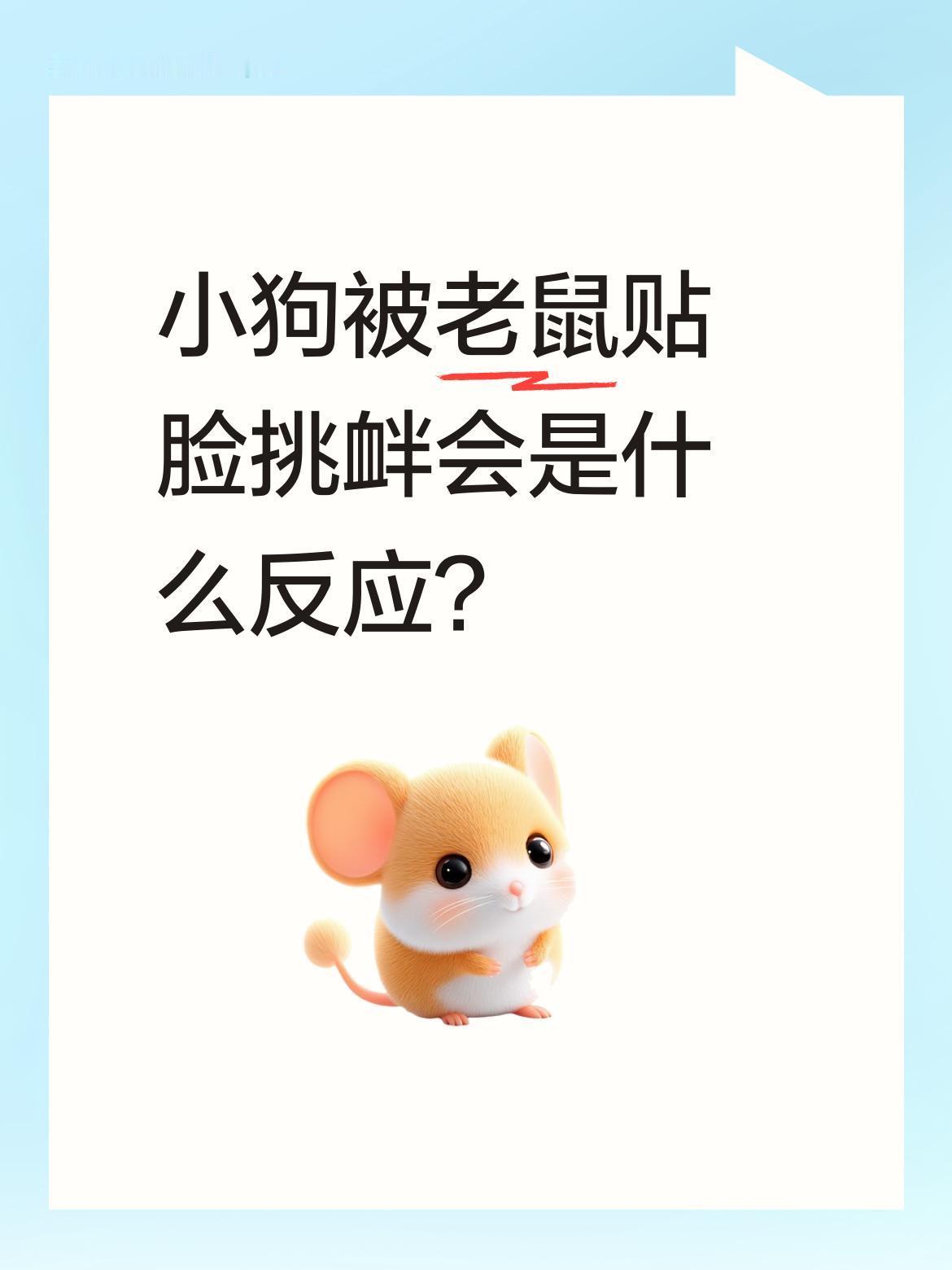 小狗被老鼠贴脸挑衅会是什么反应？
最近一段视频里，一只小狗突然被老鼠近距离"攻击