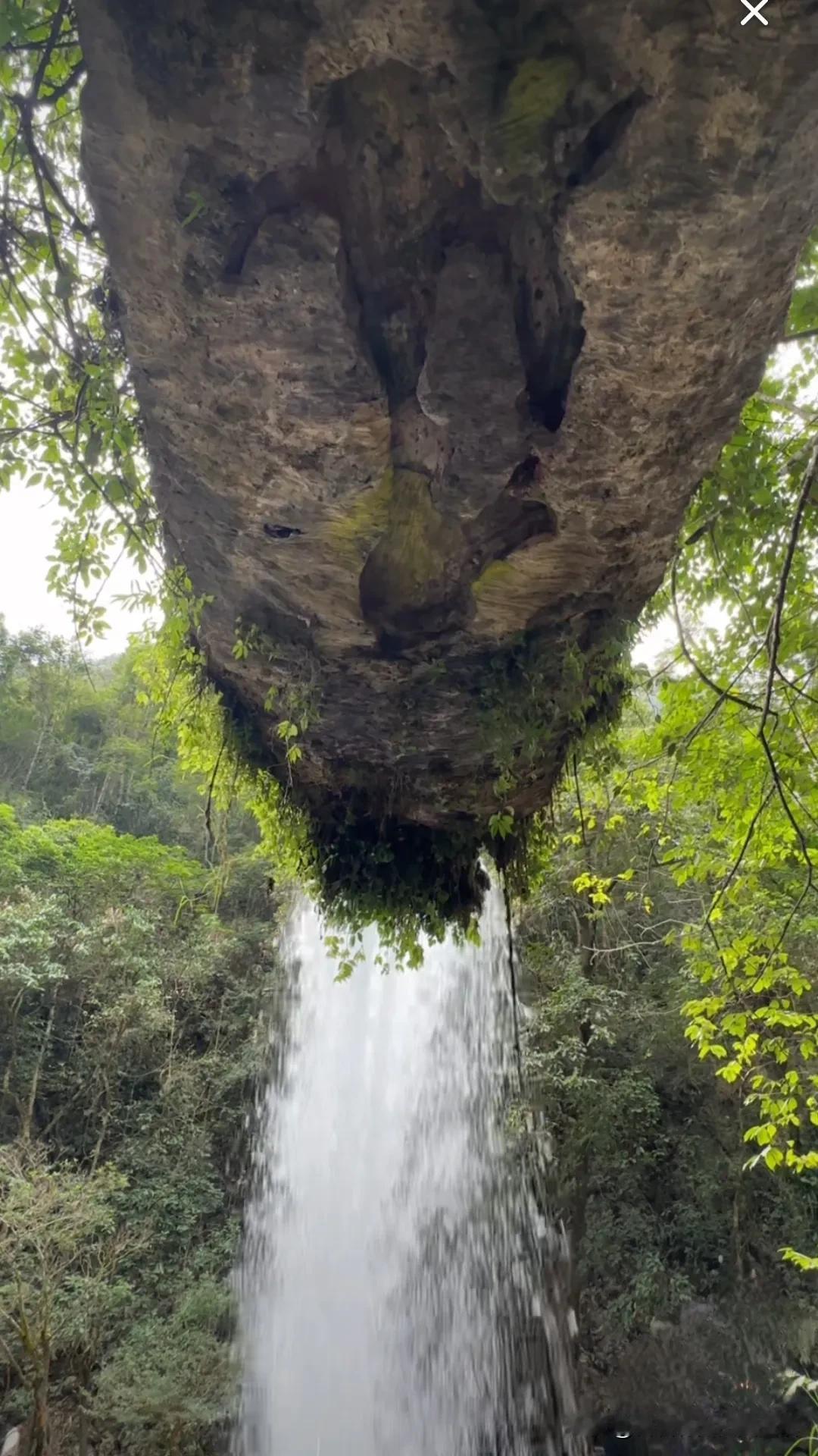 树木的风景随手拍树有树的风景。