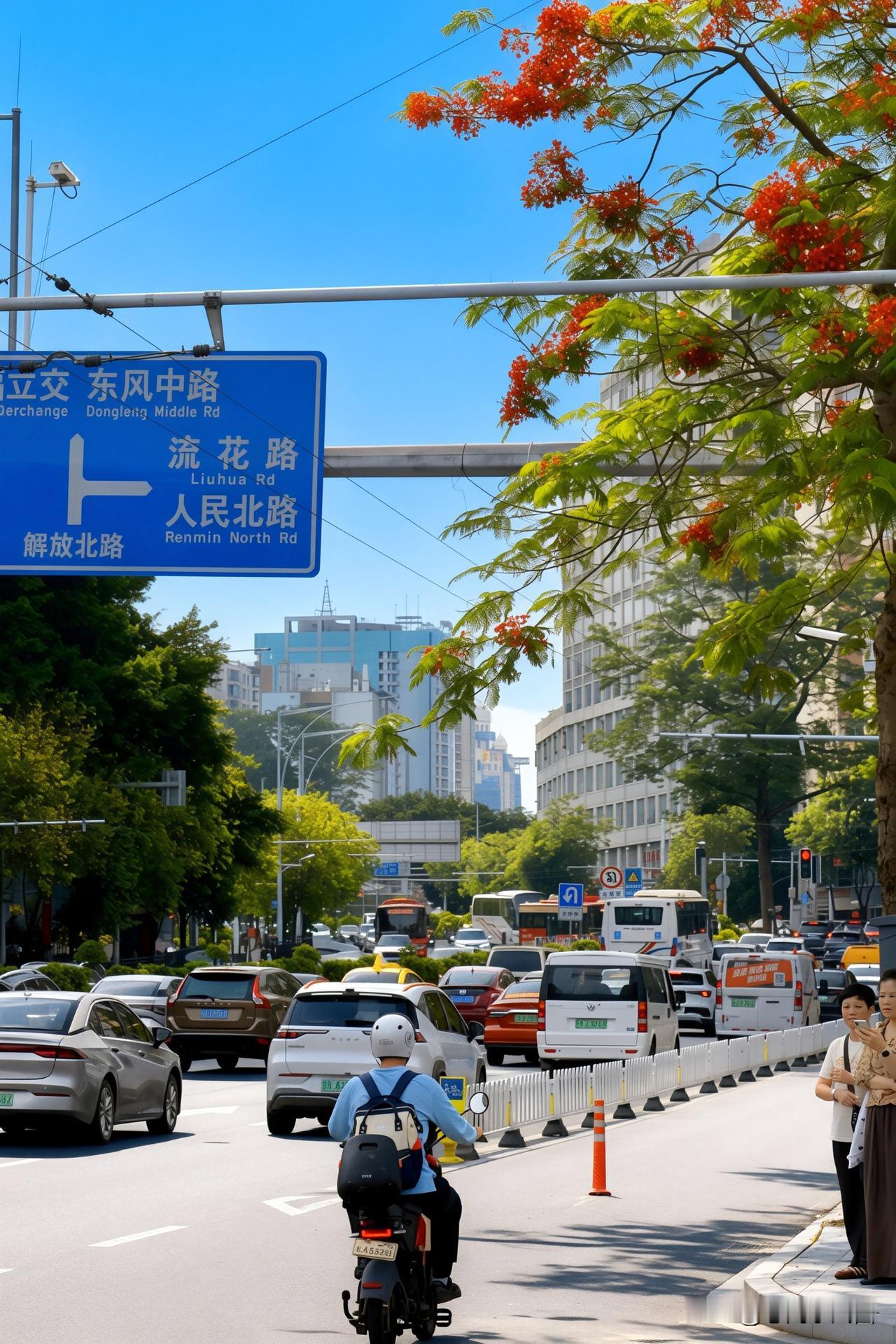 《解放北路，凤凰花里的羊城夏意》
晴日里的解放北路，凤凰花染红了初夏，车流穿梭间
