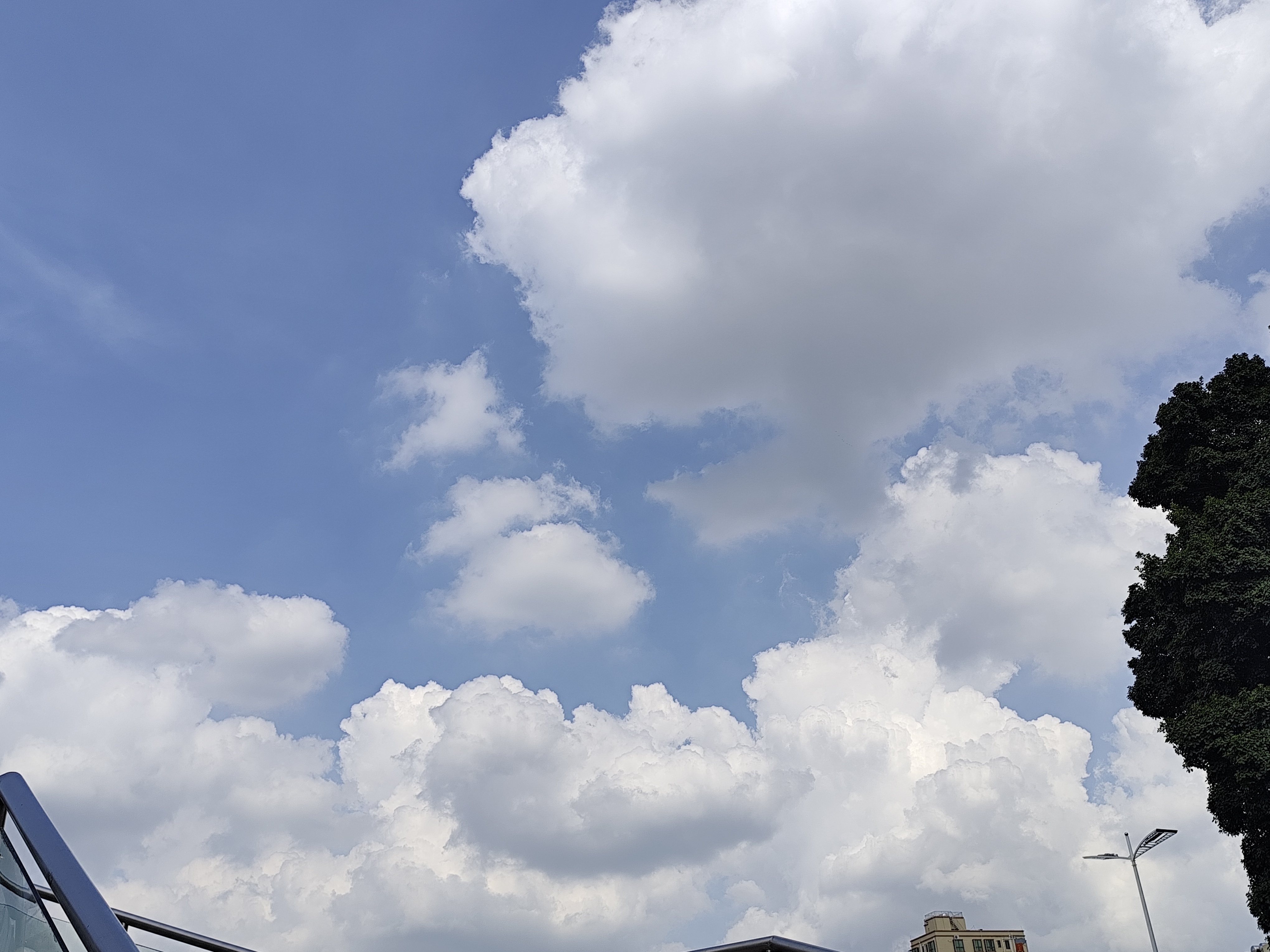 今天出去找工作的时候 拍了好多☁️ 都超级好看的云~