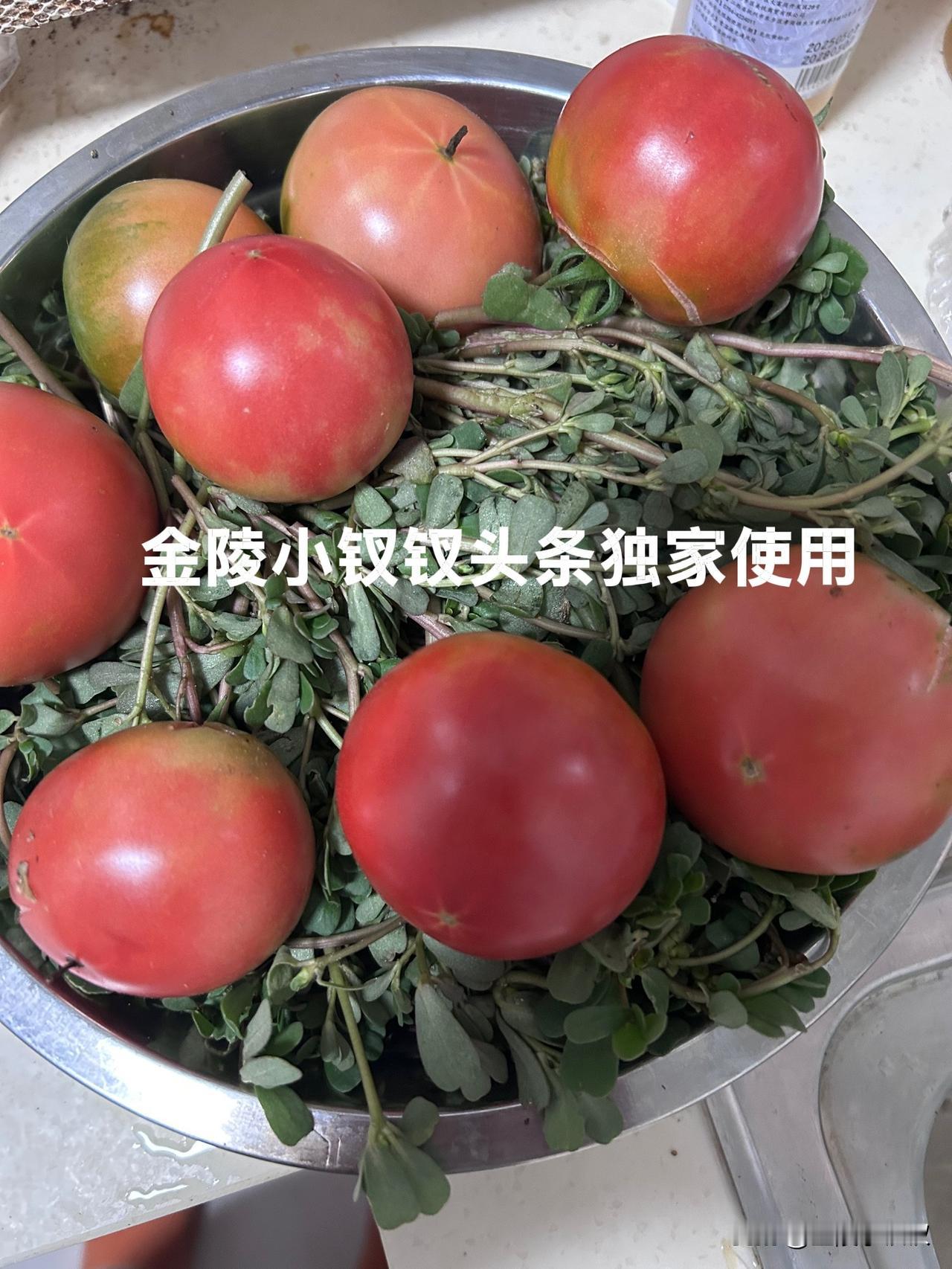 网友的眼睛都是火眼金睛，昨天发的小院的照片，就有网友留评：无花果上有头发没洗干净