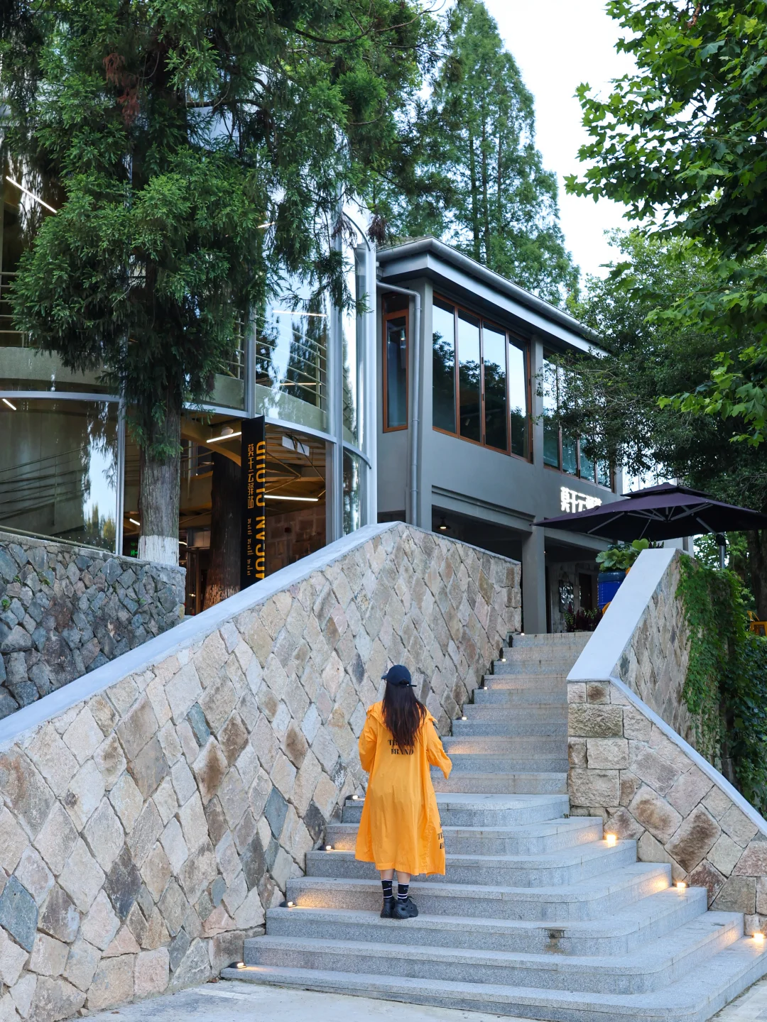 24℃莫干山夏夜🌙光影星河太治愈了