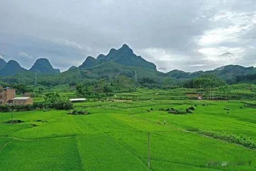 农田山河