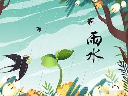 今天是个好日子，正月初二巧逢雨水节，今日的雨水被李时珍载入《本草纲目》，据说育龄