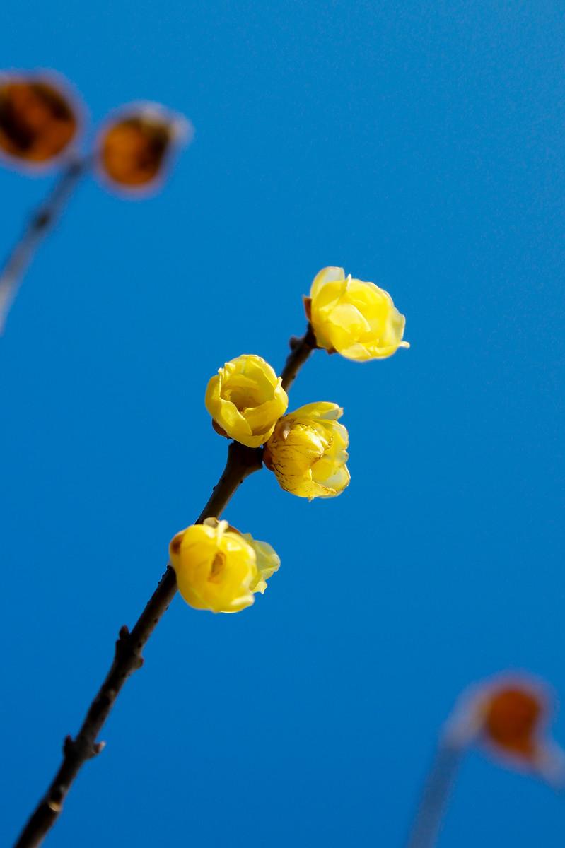 周一盘前利好消息，深度剖析人形机器人板块！
周一盘前利好消息：
一、据媒体报道，