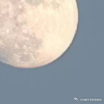 阳光信用 l森林驿站 我始终坚信，美好会遇见美好，如桃花遇见春风，如小桥遇见流水
