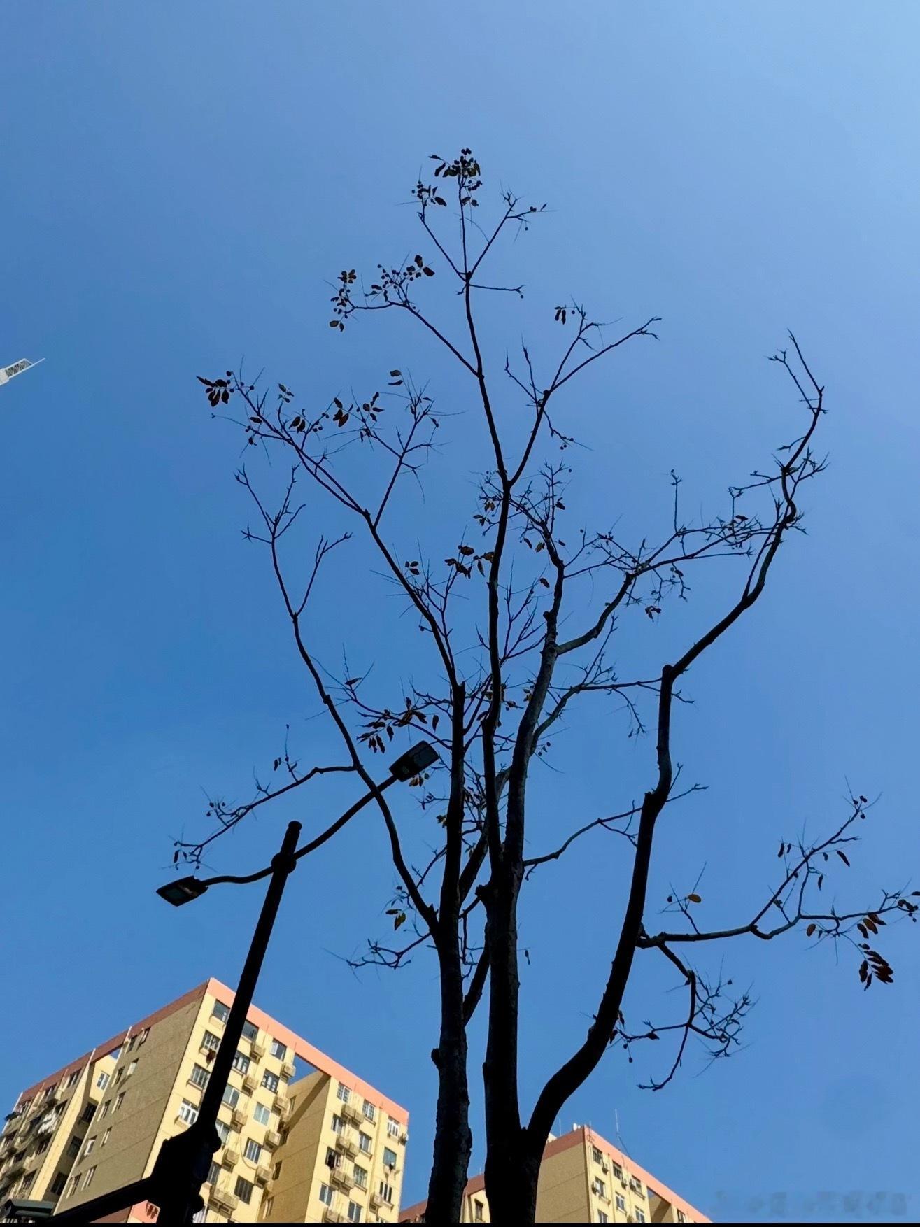 影像界来了个天才选手横空出世惊艳影像圈！天赋拉满实力出圈，随手一拍皆是质感大片。