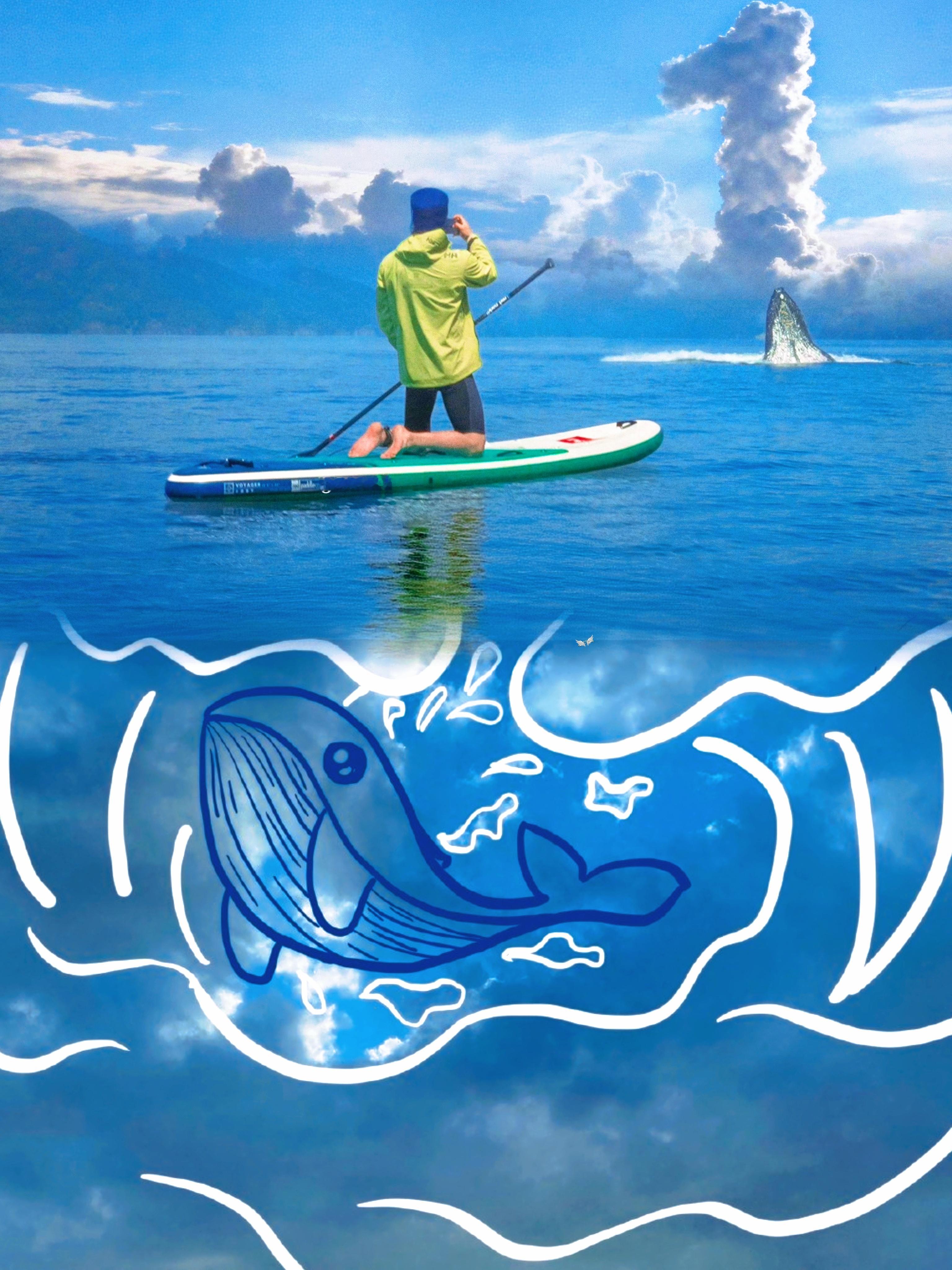 博君一肖 海蓝时见鲸，梦醒时见你。对你，如鲸向海！取图留名🐳 