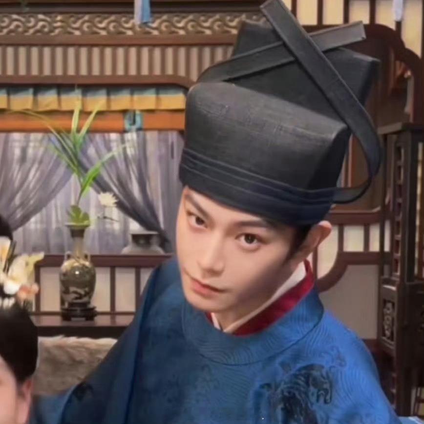 丁禹兮是什么兔