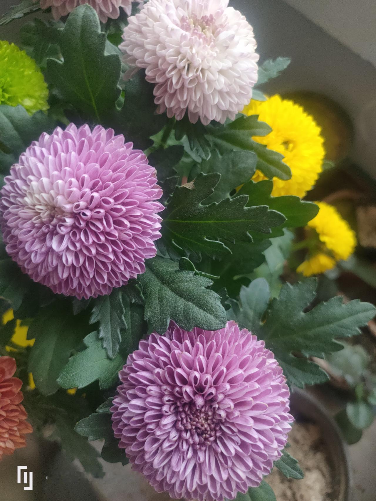 真是愁人！
今天去了小姑子家，敲门后进去。
她正在睡觉，她老公在沙发上打游戏。