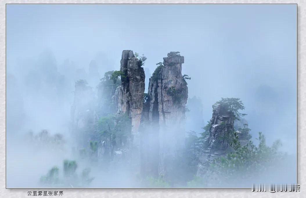 雾笼青山藏秀色
纱遮红颜避春风[祈祷]