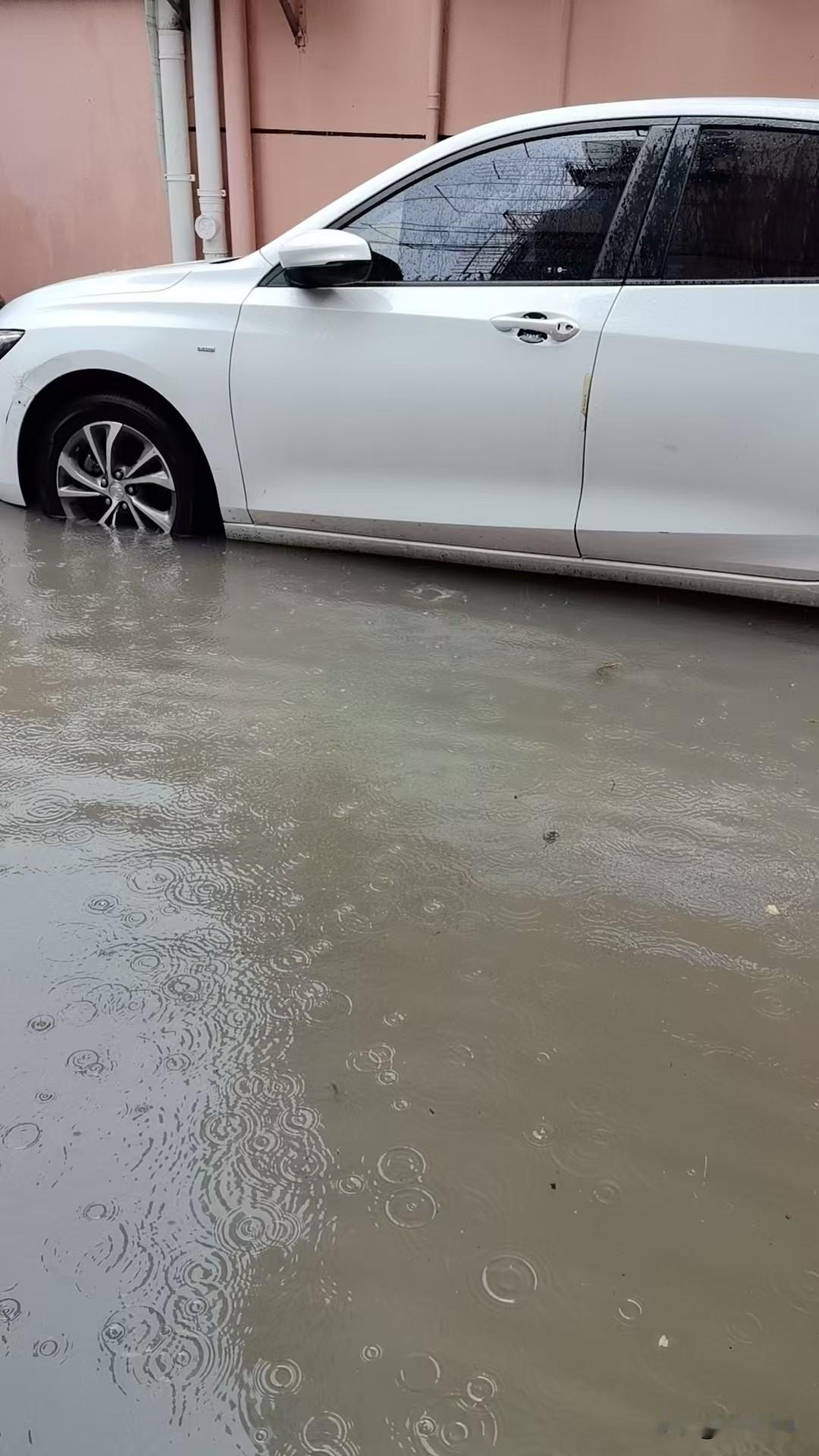 “白海豚”果然厉害，不是直奔浙江而去么，怎么把上海也捎带上了？我在上海浦东新区某