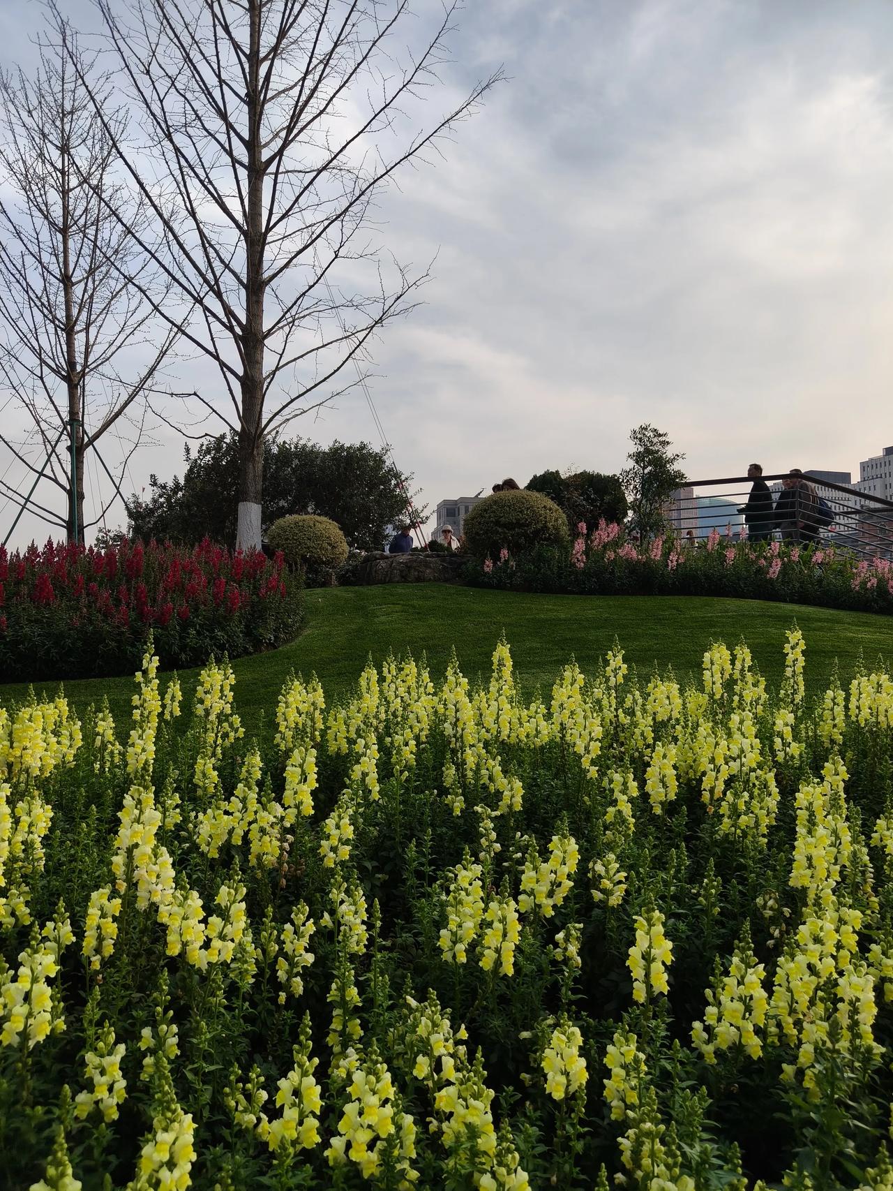 老年大学正从传统的“养老”娱乐场所，向一个满足老年人“享老”精神需求、赋能个人发