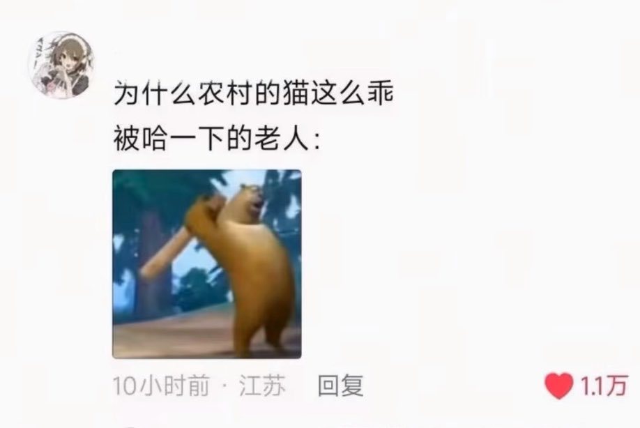 老人疼猫是真疼，揍的时候也是真当孩子揍