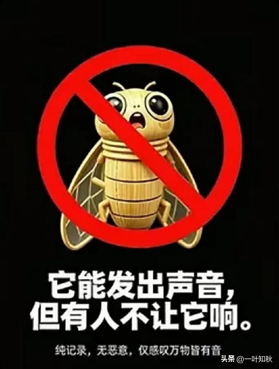 竹知了之殇！止于今夏。何尝不是文明的倒退。