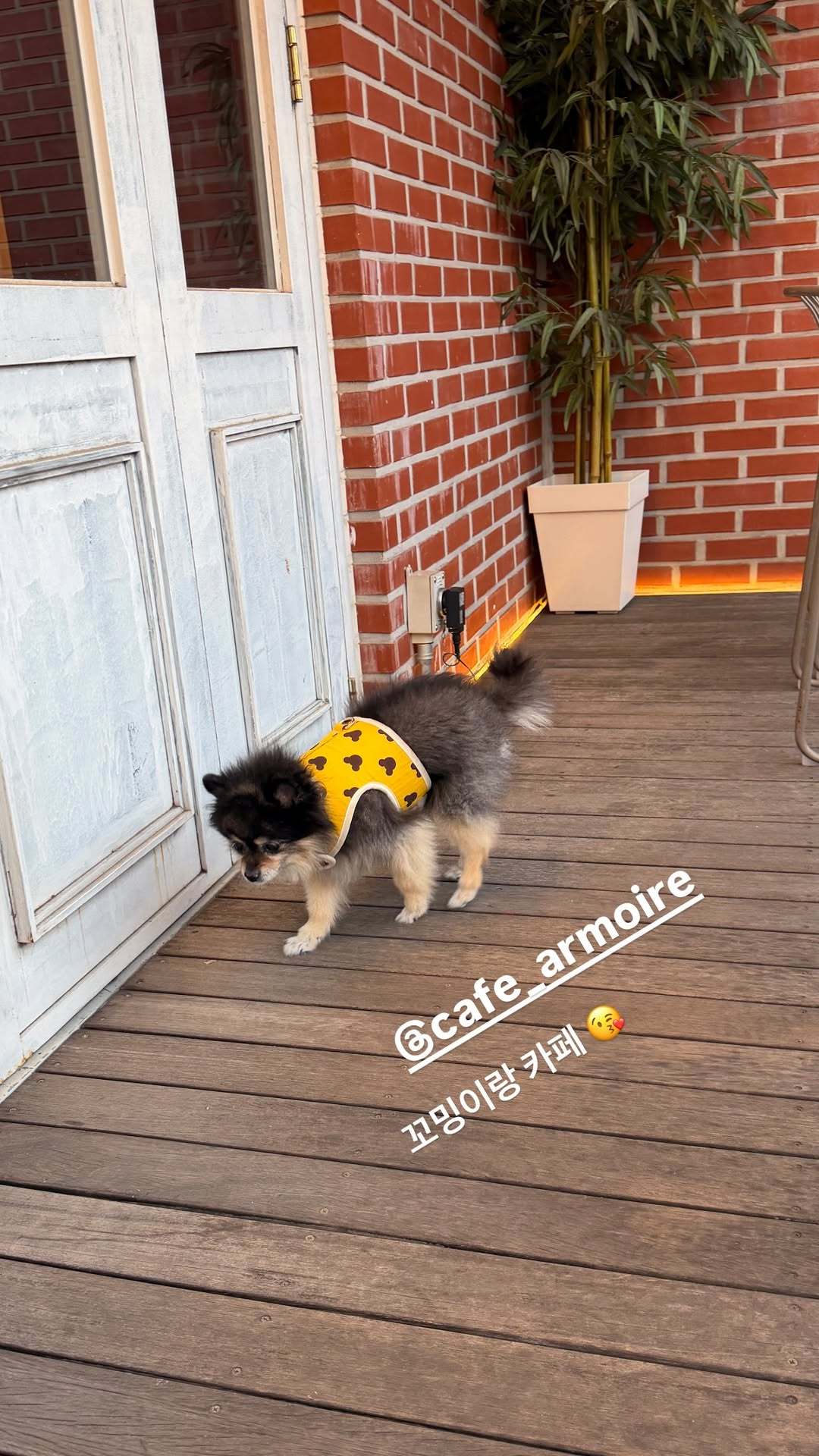 “CB百蓝_。251121 ins story更新：和小不点去咖啡厅😘 