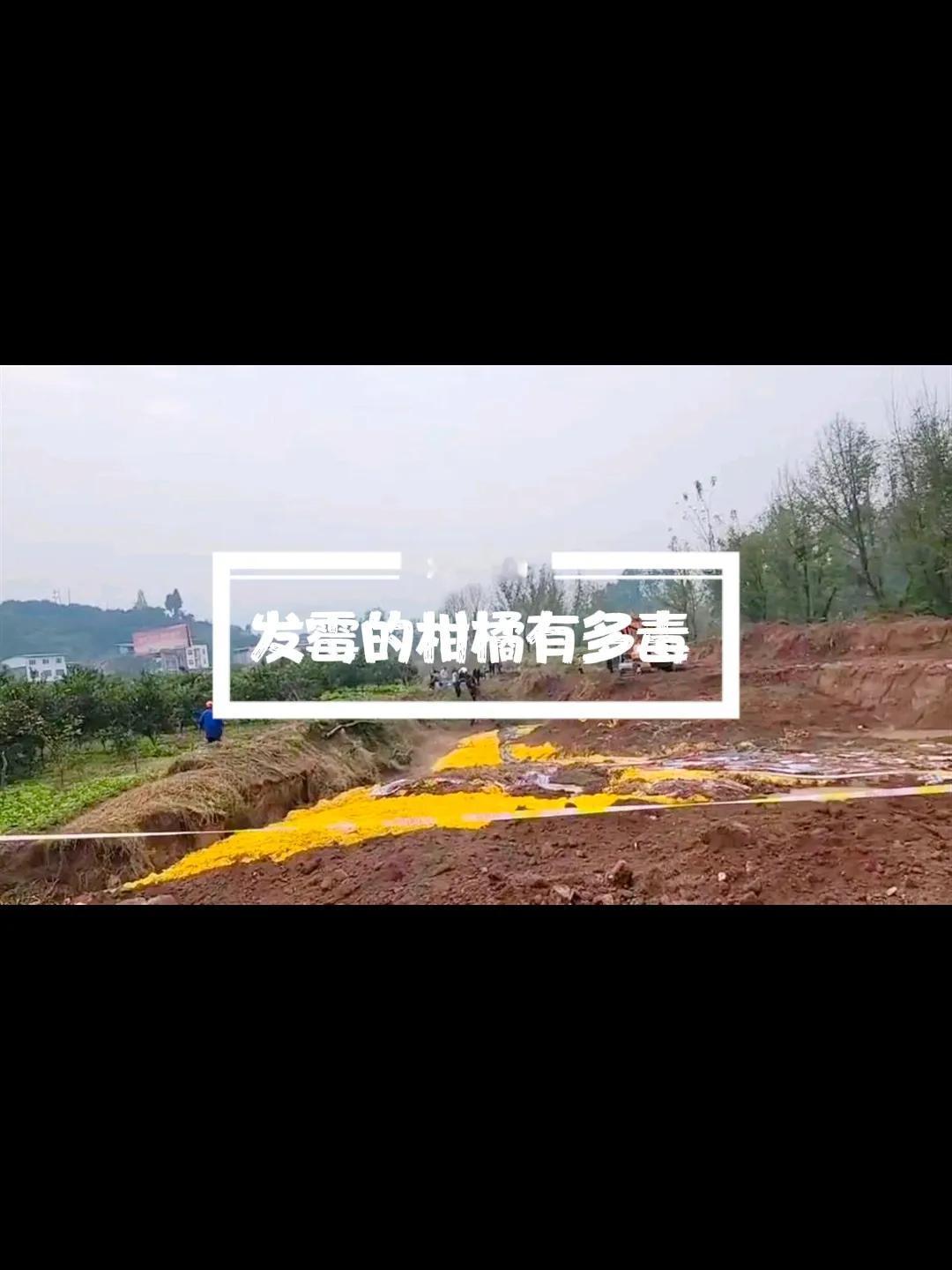 有没有化学界泰斗分析一下，重庆一村庄此事发生在长沙镇狮寨社区。该社区工作人员介绍