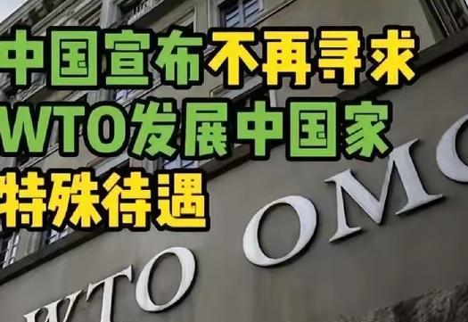 中国不是在联合国突然宣布“不再要特殊待遇”，而是在WTO里默默做了三年准备。20