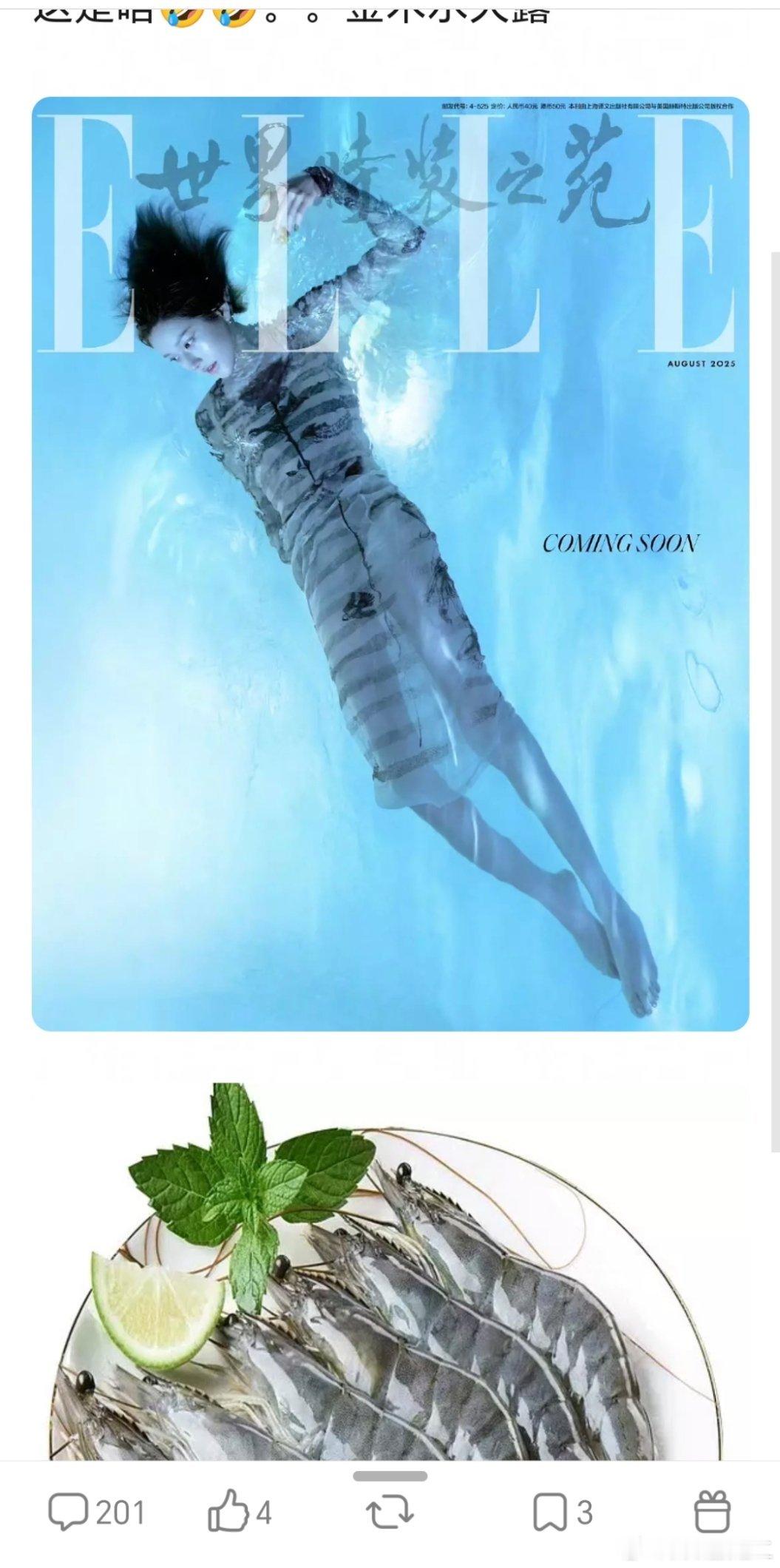 赵露思首登ELLE封面，网友说这个造型像一种虾🦐 ​​​