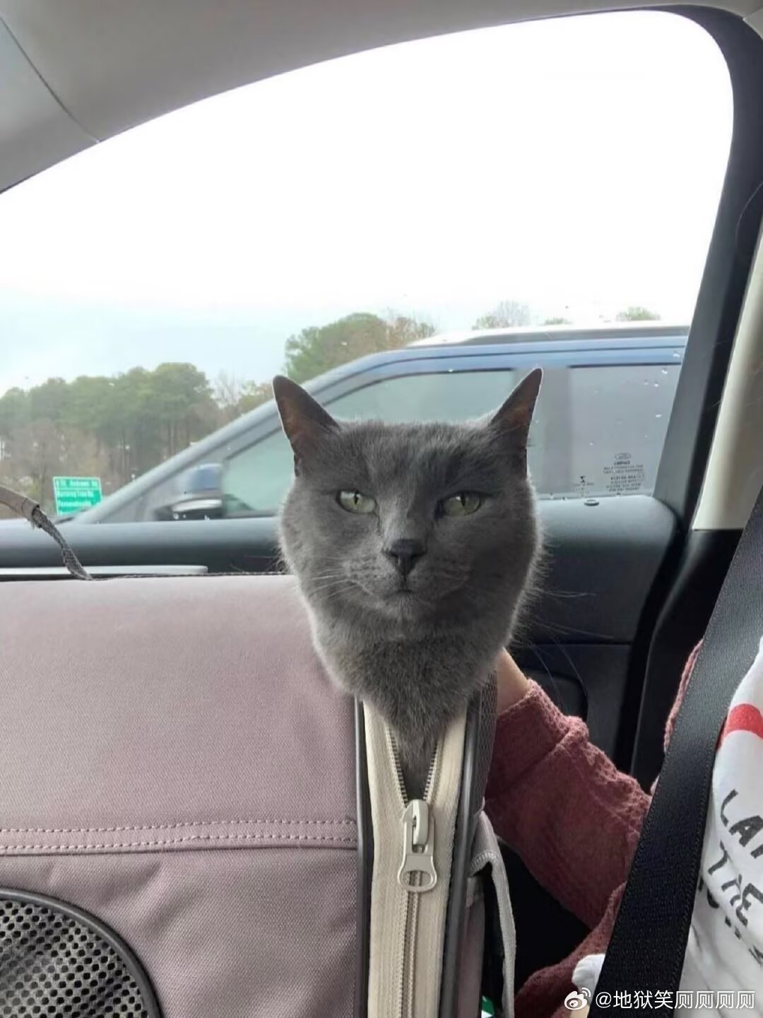 1239无意拍下这张照片笑死了 