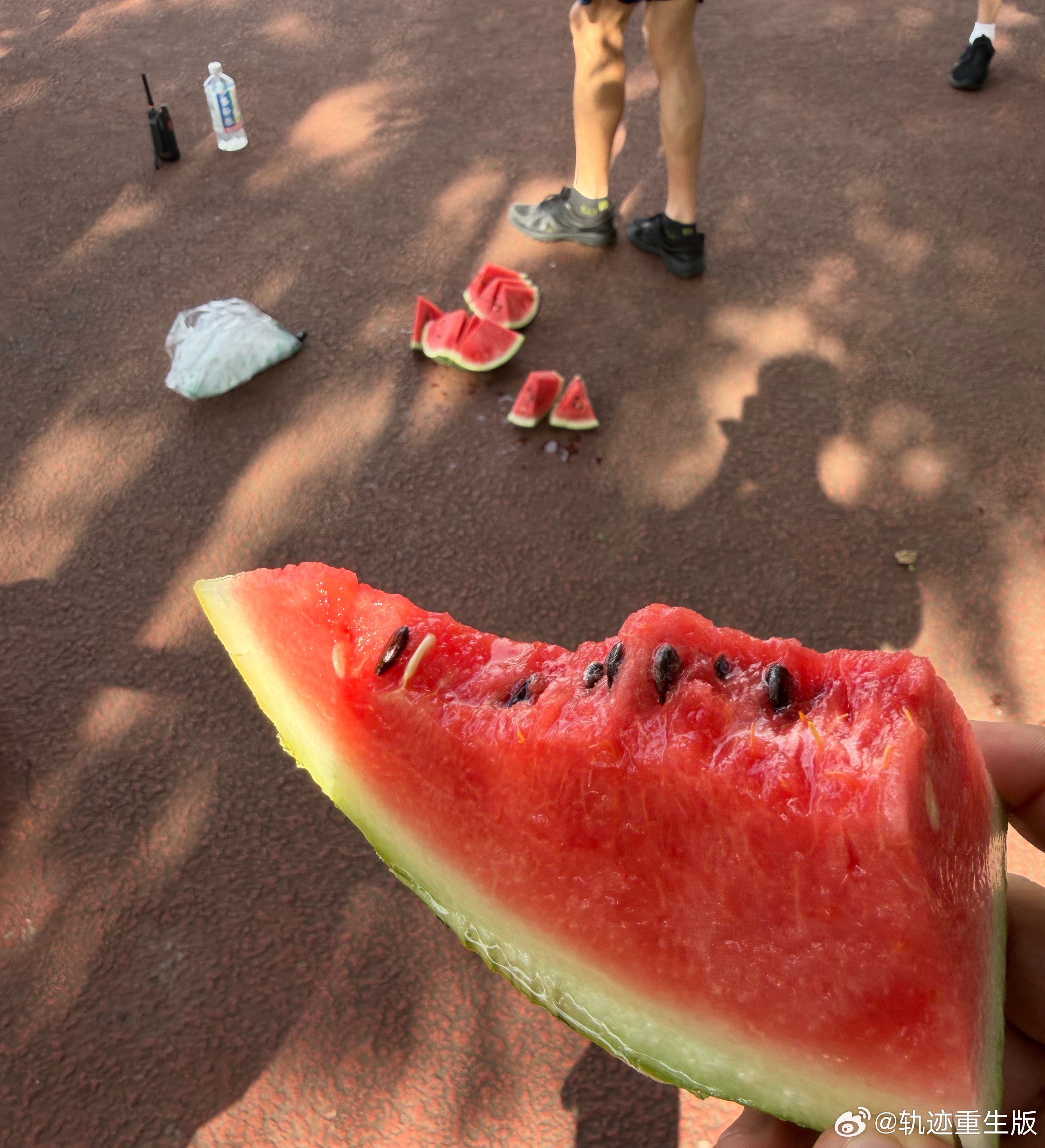 🍉 