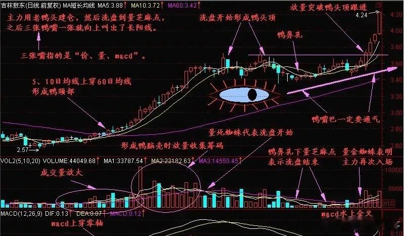 什么是“老鸭头”？“老鸭头”形态是股票技术分析中经典的反转或中继形态，因股价走势