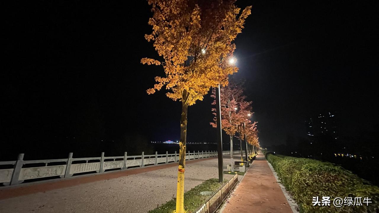 这是10月底，晚上10点多，彬州河堤路的夜景！
没想到6006年的10月底，对于