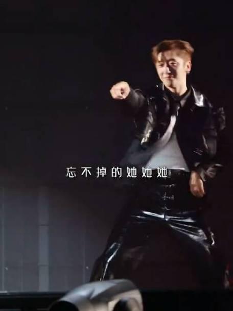 徐良演唱会上，伴舞煜宸凭借超高颜值意外爆红。他长相帅气，同时撞脸多位明星，舞姿松