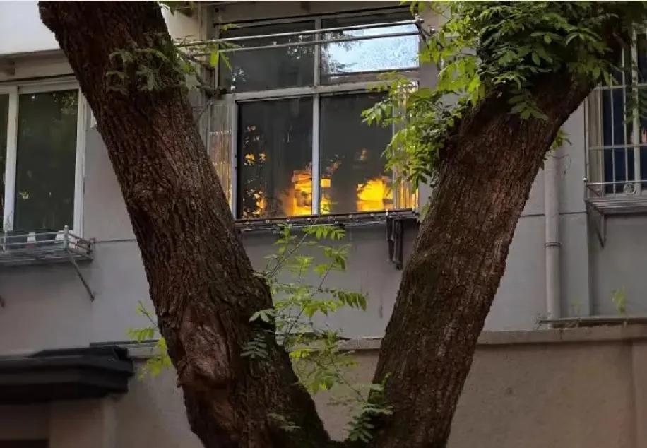 傍晚路过老小区，看见三楼窗口亮着的灯——那光里该是有人刚晾完衣服，正哄孩子吃饭吧