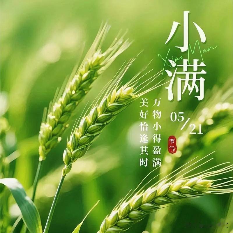 上午小满江河满，下午小满干断河！2026年旱涝已定？农户早留心
 



农村老
