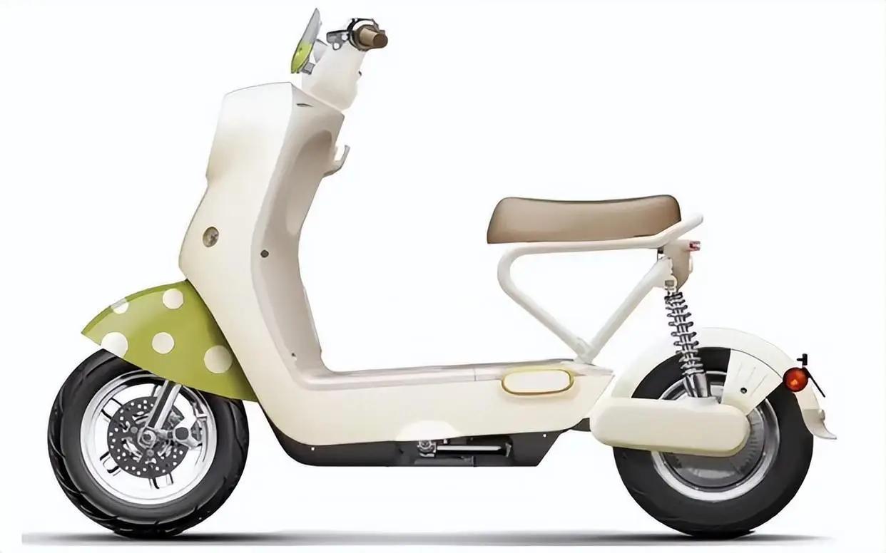 中国这么大，电动车标准不应一刀切！

我国国土这么大，各地地形不一样，各地发展不