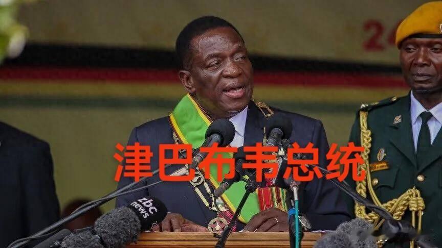 津巴布韦的锁矿政策提前，让中国在津巴布韦企业进退两难！

津巴布韦当局2026年