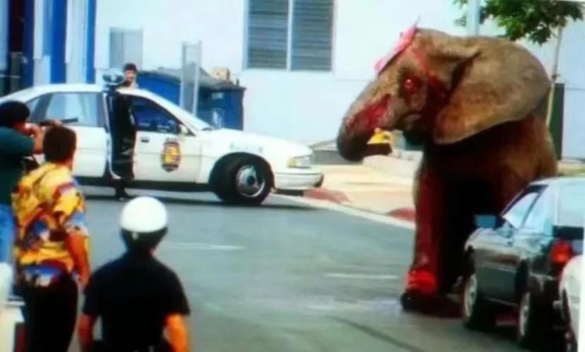 她的眼神里写着深深的恐惧...
1994年8月20日，美国的各种新闻标题赫然写着