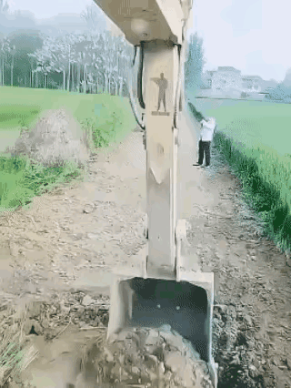 麦田长得这么好，为什么要用勾机破坏掉这么大一片呢，现在麦苗已经长这么大了，再过一