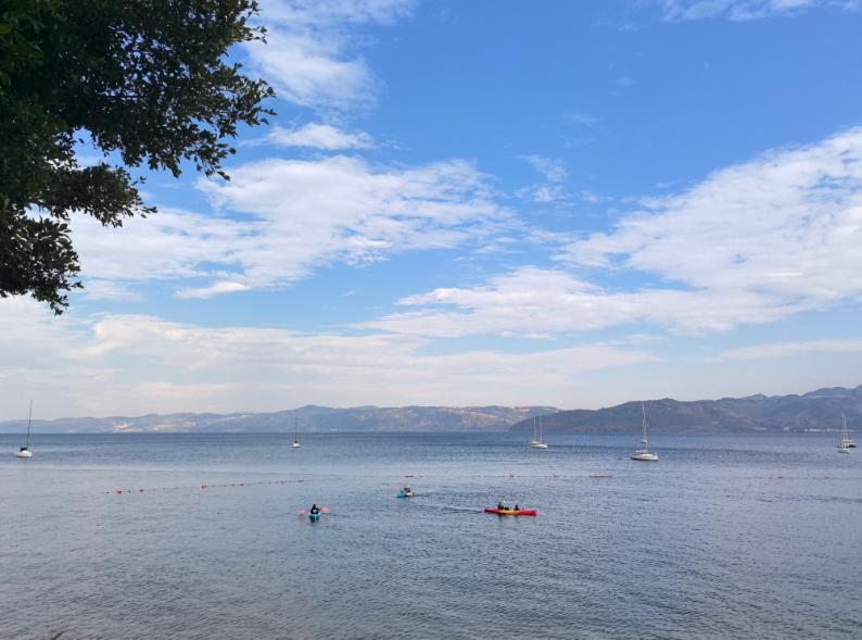 日本大概率撑不过十年，十年之内日本很可能将会从发达国家沦为发展中国家，这里面最主